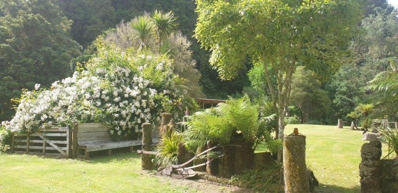 Blackfern Lodge Waimiha Exteriér fotografie